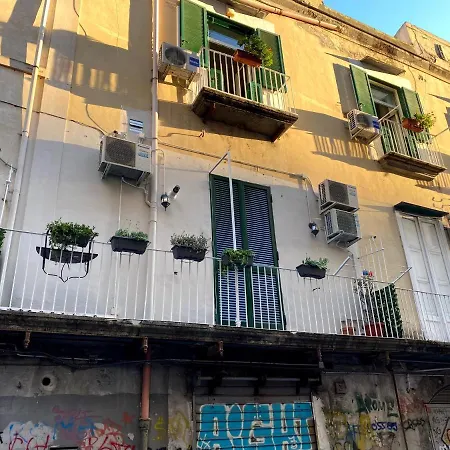 Apartment Caprese Experience - Light Blu - Dante *